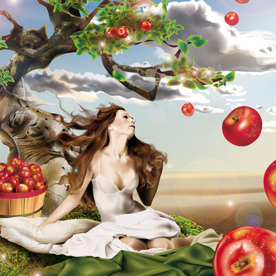 Apples fall in the sky