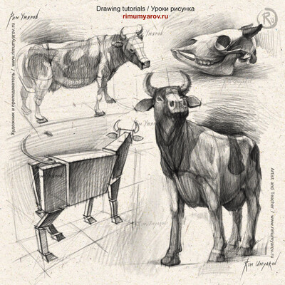 Cow