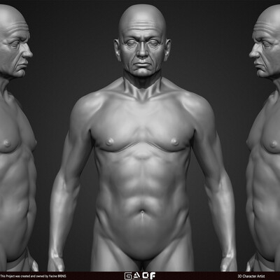 Old Man Basemesh 3D Model By Yacine BRINIS Anatomy