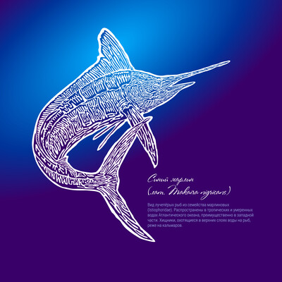 Stylized illustration of blue marlin