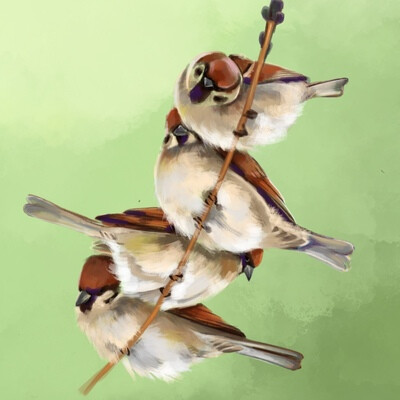 field sparrows