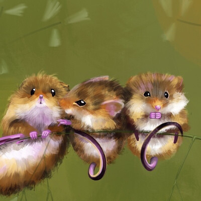 mice