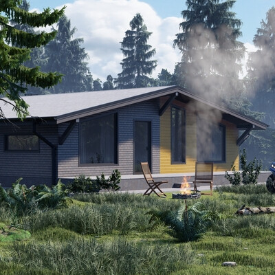 House in the forest