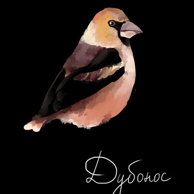 dubonos bird