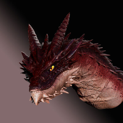 Busts Dragons