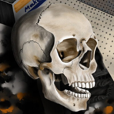 human skull
