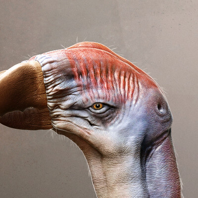 Terrific bird