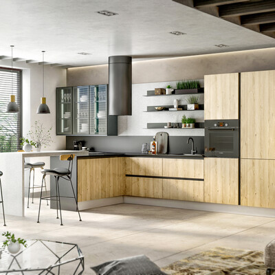 Kitchen. Budget furniture visa /8.