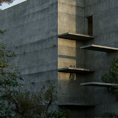 Concrete in forest