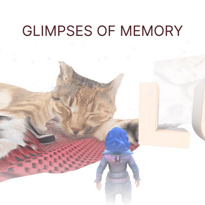 Glimpses of memories