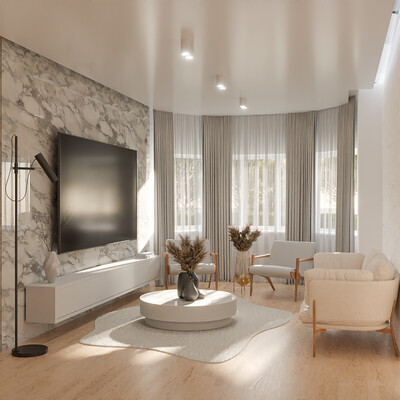 3D visualization of living room design:​​​​​​​