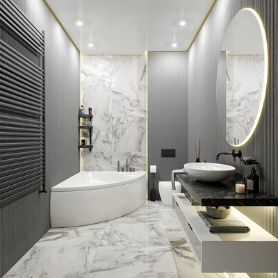 3D visualization of bathroom design:​​​​​​​