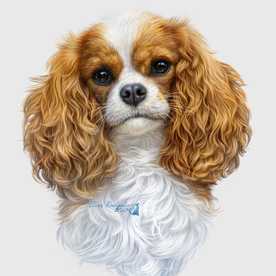 Cavalier King Charles Spaniel