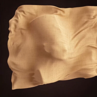 Cloth Animation  for the «Five Second Project»