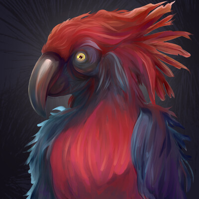 parrot