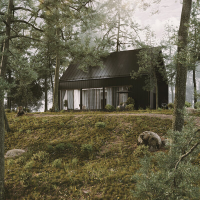 Forest house