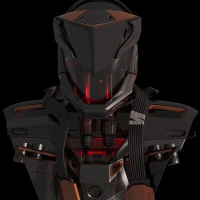 Robo bust