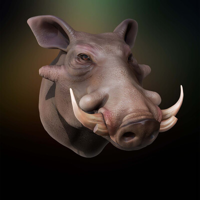 warthog