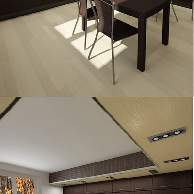 dania RECORD interior