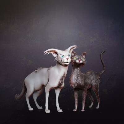 Stray Cats