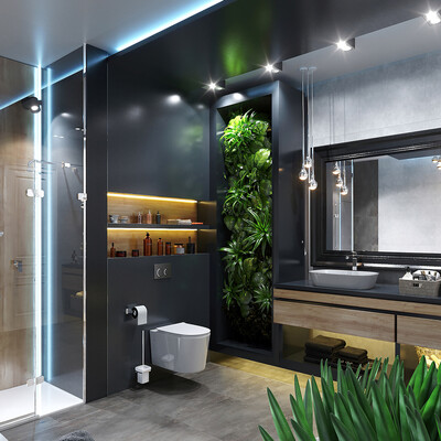 Loft style bathroom