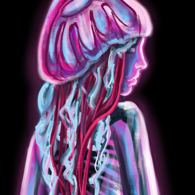 Jellyfish
