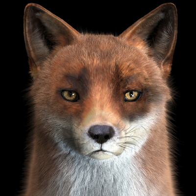 fox