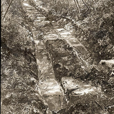  Road in the forest