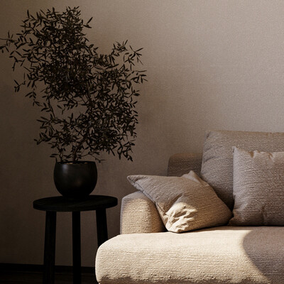 Visualization of the living room (15,25 м2)