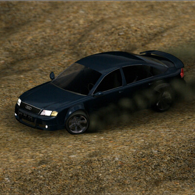 Audi Rally