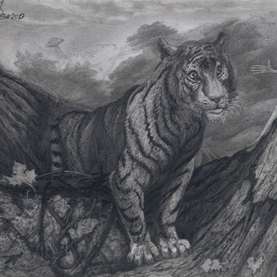 Kyschtym young tiger