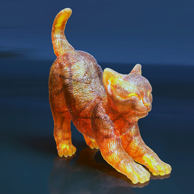 amber cat