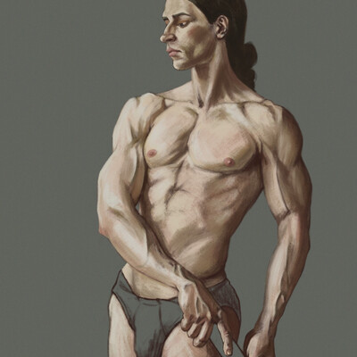 Male torso