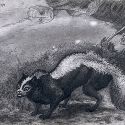 Animal in the anomalous zone