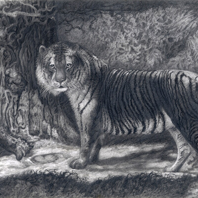 Tiger's Nook