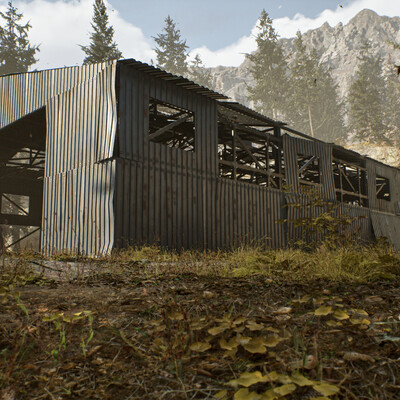 Video course "Hangar"