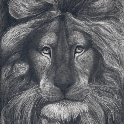 Lion from other planet (portrait)