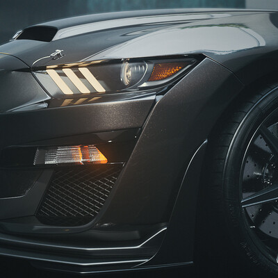 Shelby by Pantural
