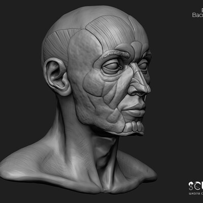 Écorché by Vasiliy Kravtsov