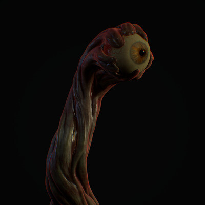 Eye