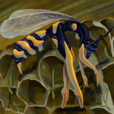 wasp