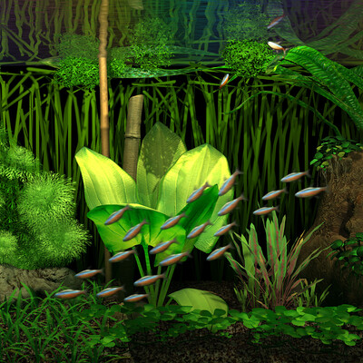 Akvarium