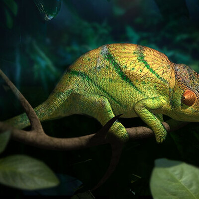 Hameleon