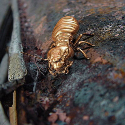 "Golden BUG"