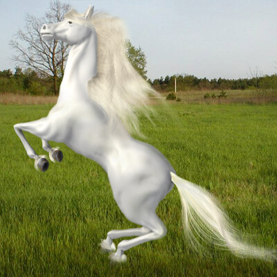 horse
