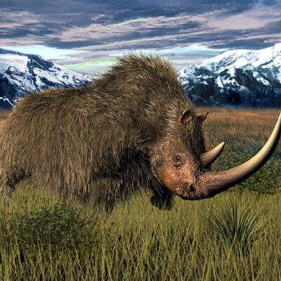 Whoolly Rhino