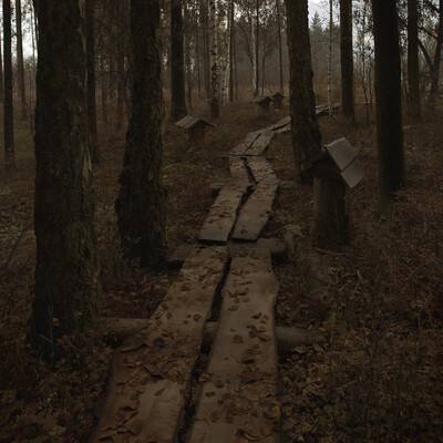 "Forest edge"