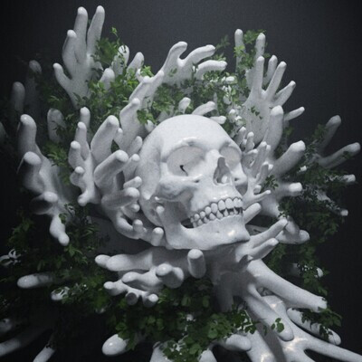 Skull