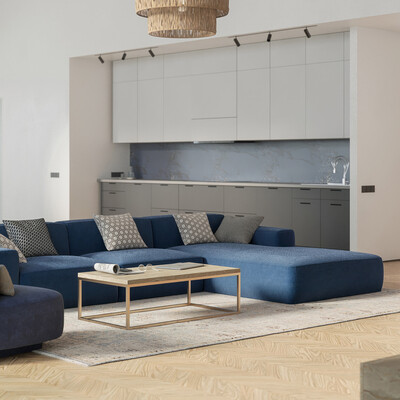 Apartment living room, Interior visulasation