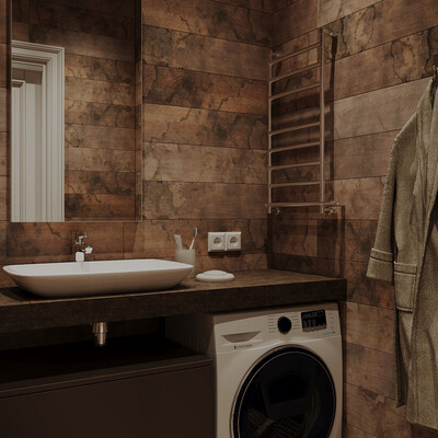 Visualization of the apartment project (36 m²) Bathroom